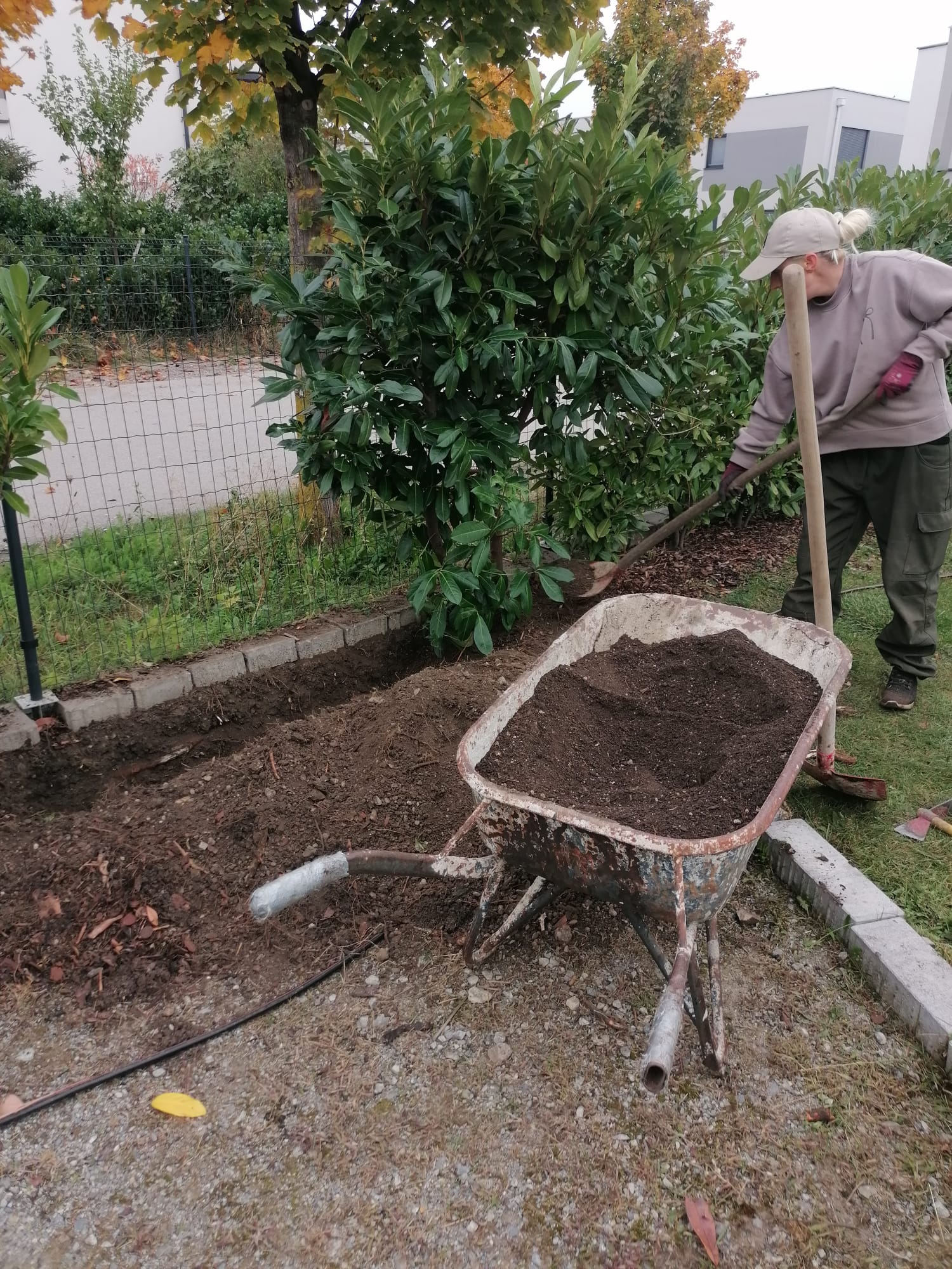 Pflanzarbeiten und Bodenvorbereitung im Garten