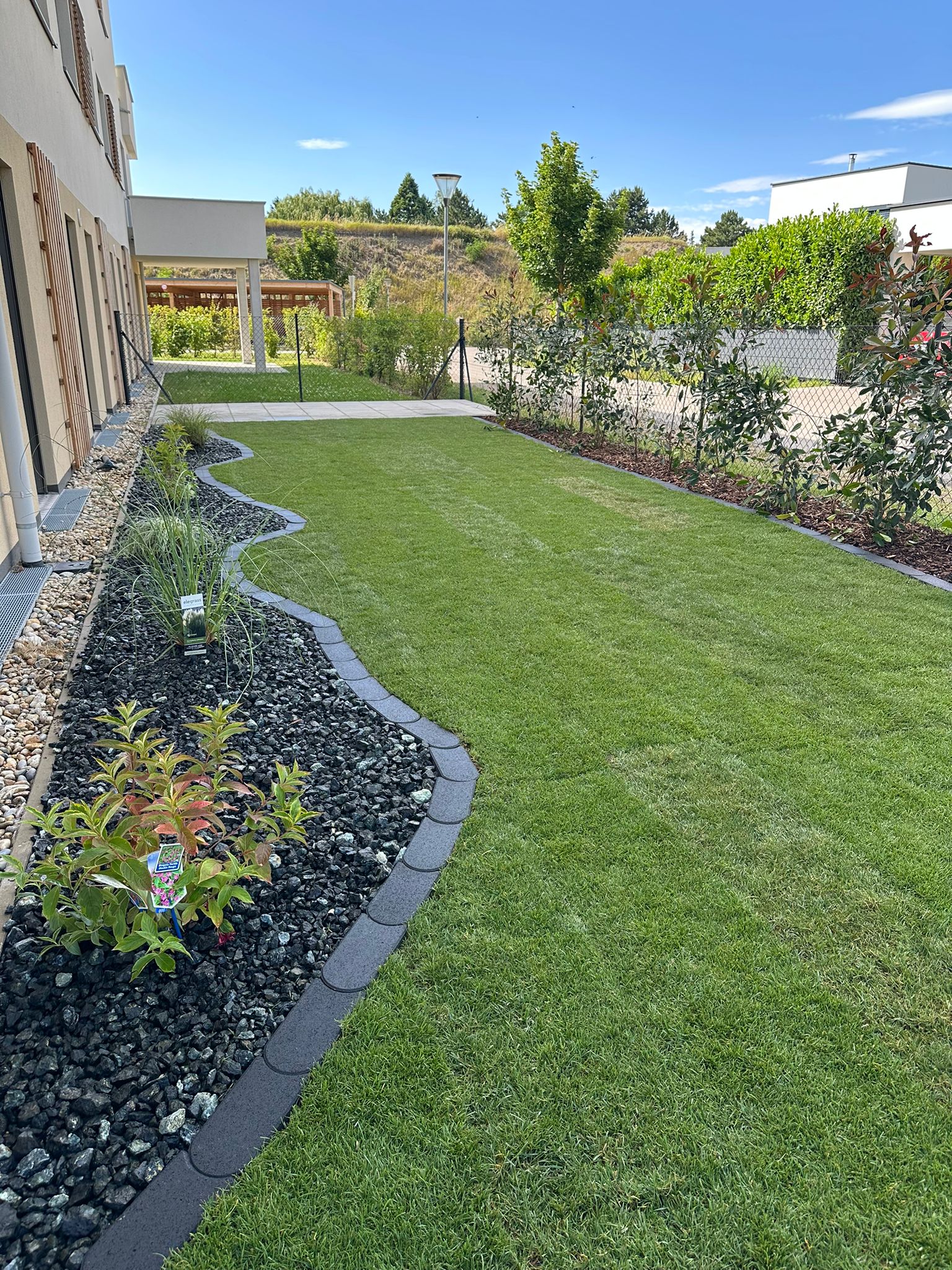 Professionelle Rasenpflege mit geschwungener Beeteinfassung